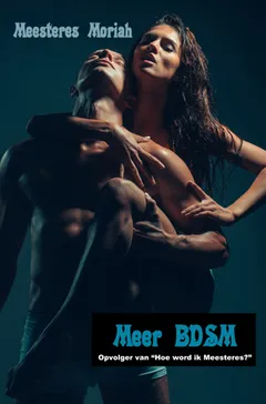 Boek Meer BDSM